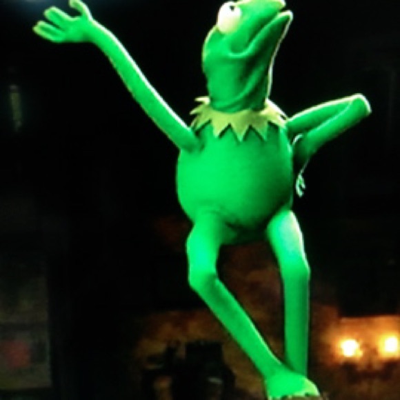 Kermit-ž the Frog 🐸 Halloween Costume - Picture 7 of 7